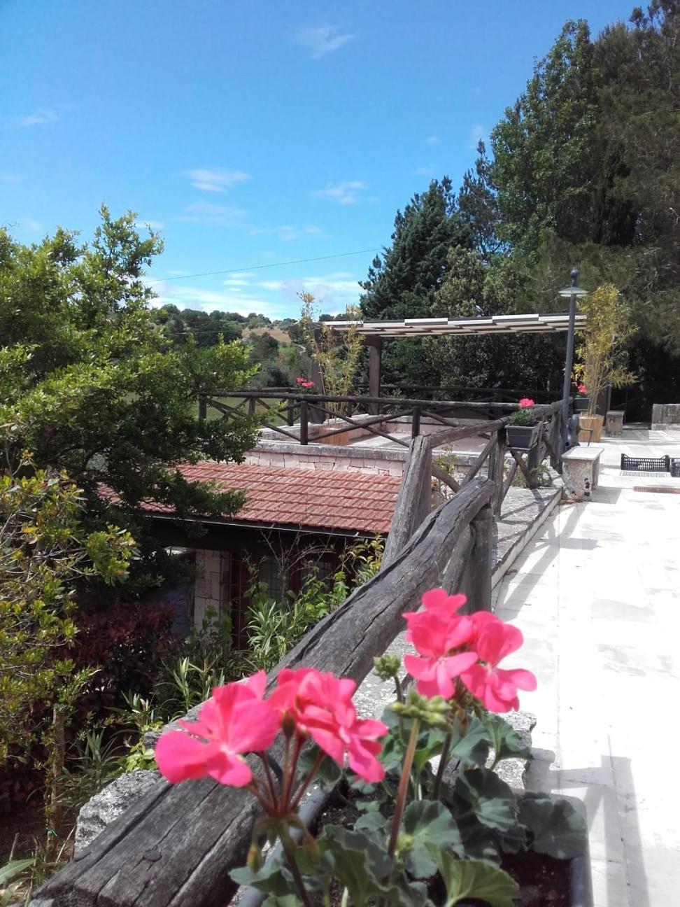 Trulli Bosco Selva