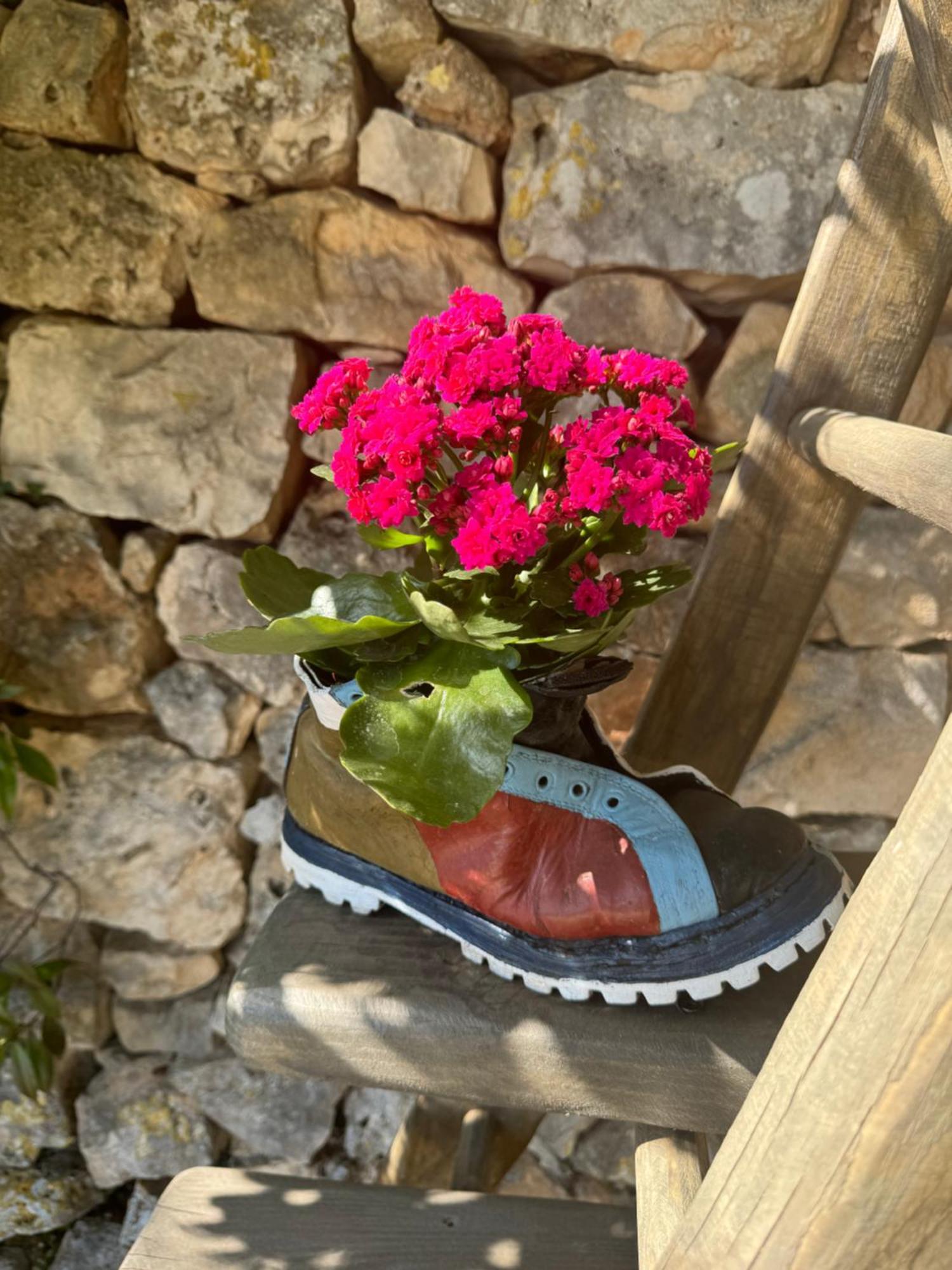 Trulli Bosco Selva Apartment Alberobello