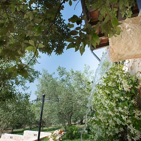 Trulli Bosco Selva Apartment Alberobello Exterior photo